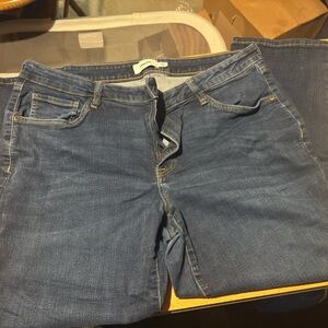 Sonoma Dark Wash Denim Pants